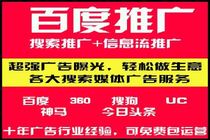 SEM广告创意与执行：成功案例分享